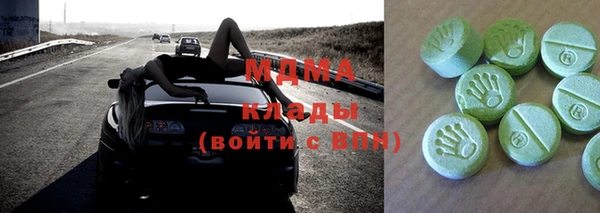 гашик Алексин