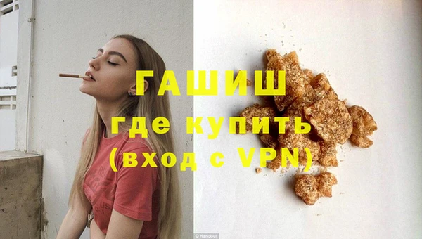 гашик Алексин
