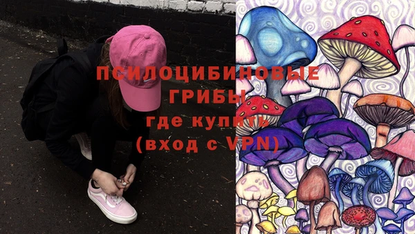 гашик Алексин