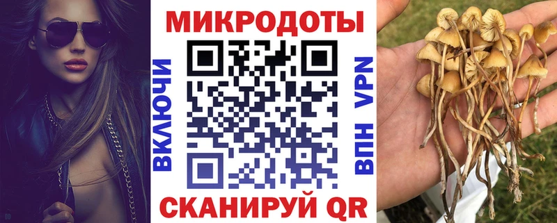 Псилоцибиновые грибы мухоморы  Октябрьский 